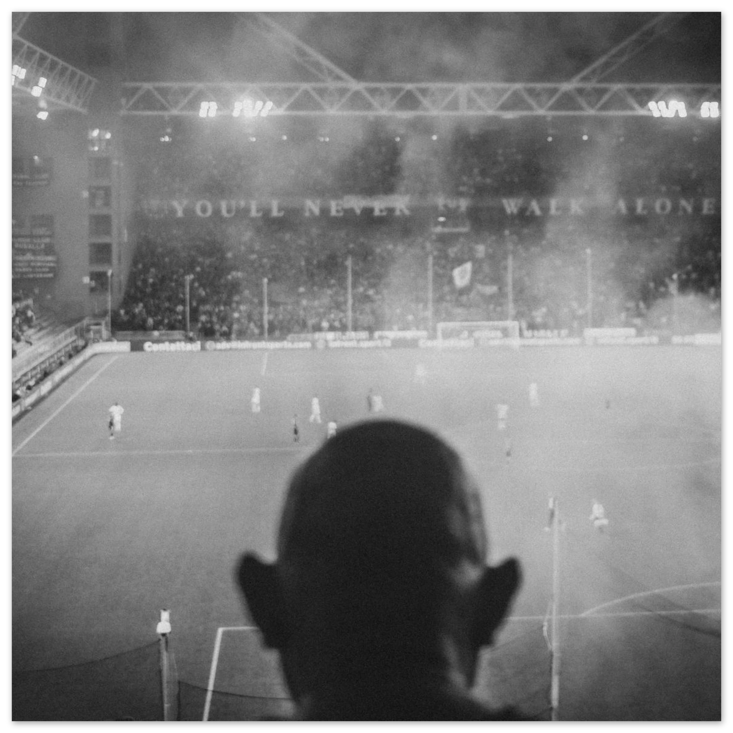 28b7102c-8d4b-491b-851b-c68a3ad3f3e9