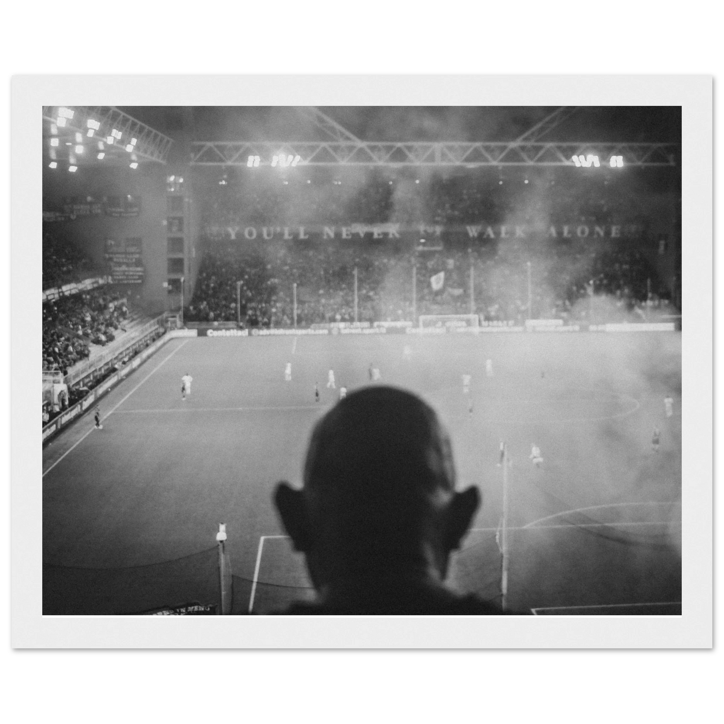 f2149d80-4f4e-438e-8c79-194f135cf2bb